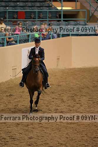 Proof 09yn-10234
