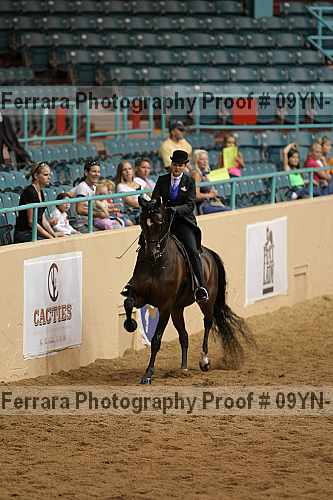 Proof 09yn-10238