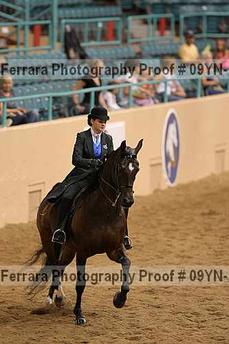 Proof 09yn-10239