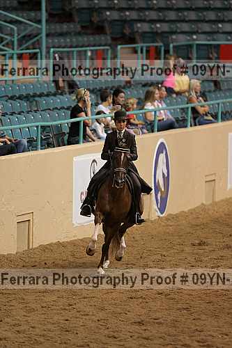 Proof 09yn-10248
