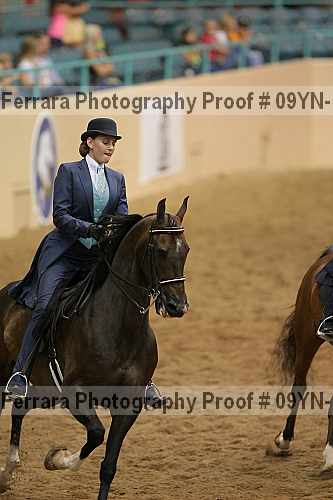 Proof 09yn-10251