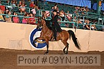 09yn-10261 proof