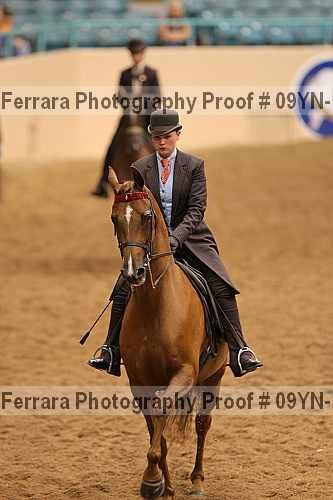 Proof 09yn-10266