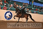 09yn-10268 proof
