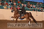 09yn-10271 proof