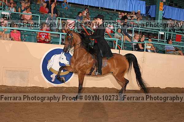 Proof 09yn-10273