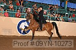 09yn-10273 proof