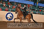 09yn-10277 proof