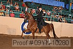 09yn-10280 proof
