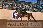 09yn-10283 proof