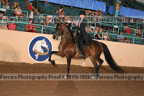 Proof 09yn-10284