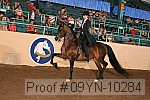 09yn-10284 proof