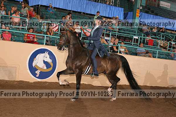 Proof 09yn-10285