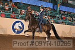 09yn-10285 proof
