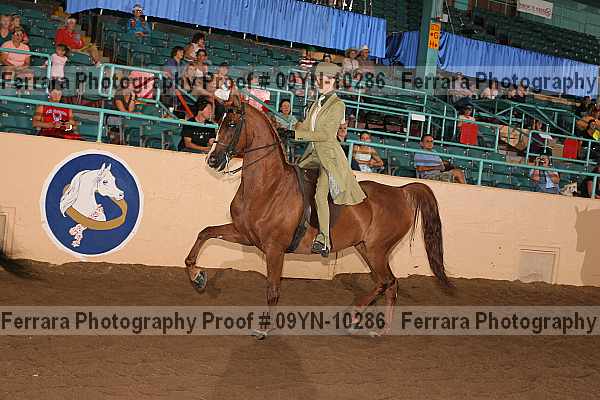 Proof 09yn-10286