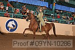 09yn-10286 proof