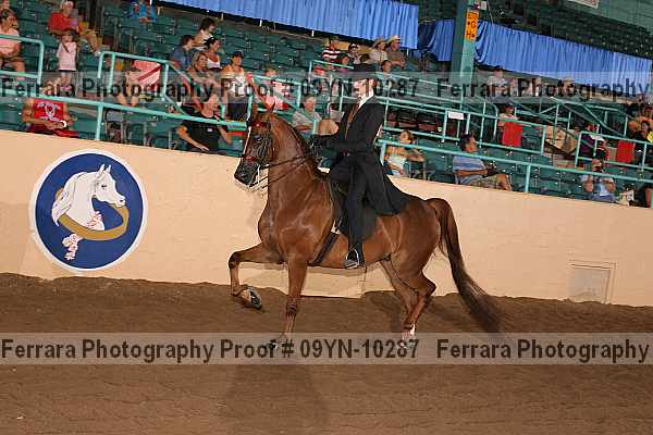 Proof 09yn-10287