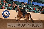 09yn-10287 proof