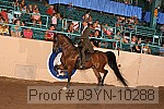 09yn-10288 proof