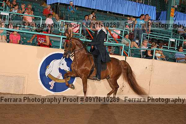 Proof 09yn-10289