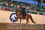 09yn-10289 proof