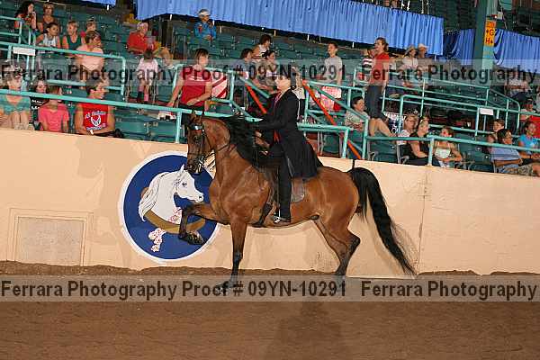 Proof 09yn-10291