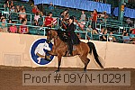 09yn-10291 proof