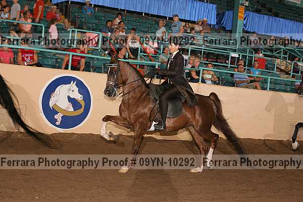 Proof 09yn-10292