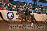09yn-10292 proof