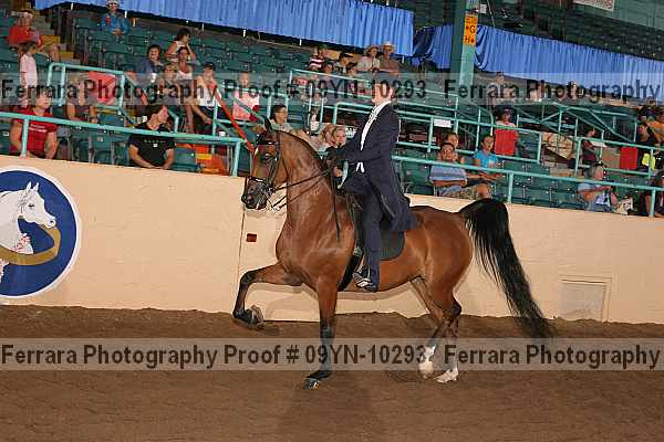 Proof 09yn-10293