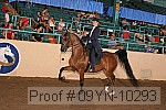 09yn-10293 proof