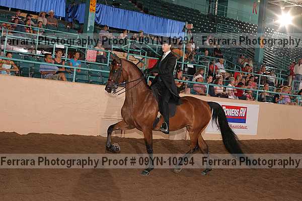 Proof 09yn-10294