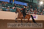 09yn-10294 proof