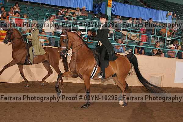 Proof 09yn-10295