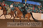 09yn-10295 proof
