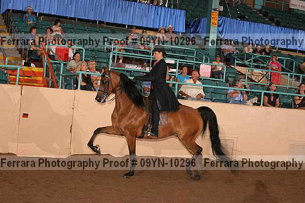 Proof 09yn-10296