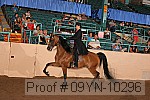 09yn-10296 proof