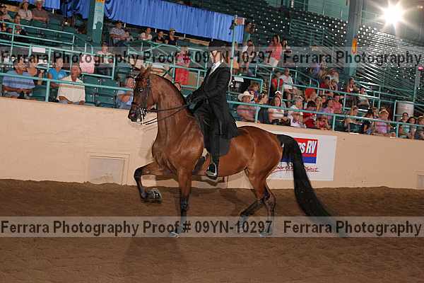 Proof 09yn-10297
