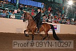 09yn-10297 proof