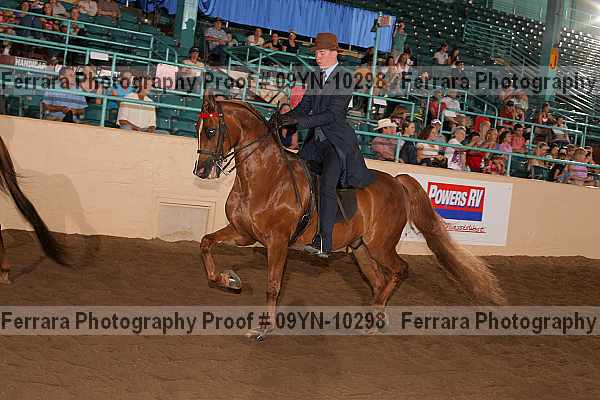 Proof 09yn-10298