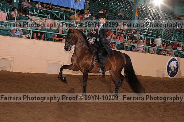 Proof 09yn-10299