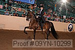 09yn-10299 proof