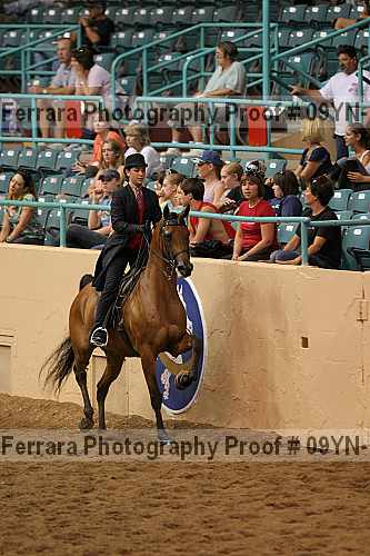 Proof 09yn-10304