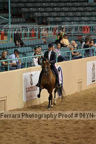 Proof 09yn-10307