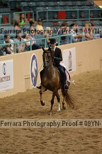 Proof 09yn-10312