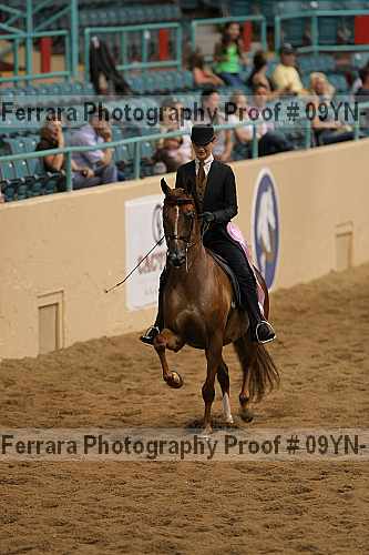 Proof 09yn-10313
