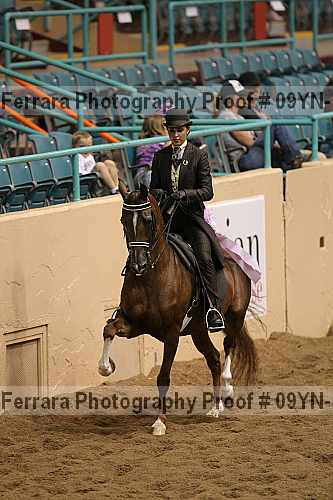 Proof 09yn-10316