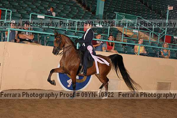 Proof 09yn-10322