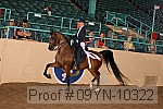 09yn-10322 proof