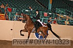 09yn-10323 proof